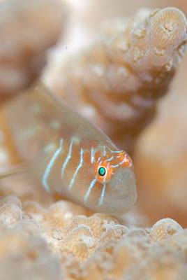 �����@��l